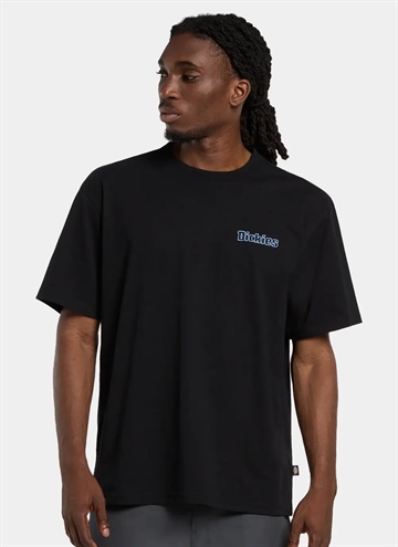 Dickies Fairlawn T-Shirt